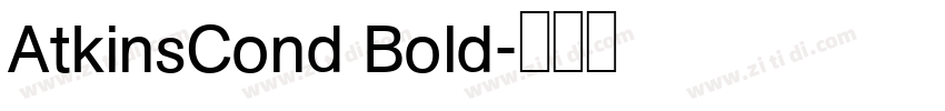 AtkinsCond Bold字体转换 AtkinsCond Bold字体转换
